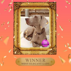 Winner of Most Elegant Lady